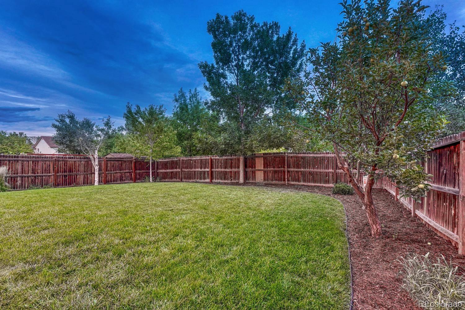 4655 Stargazer Drive Colorado Springs CO 80922