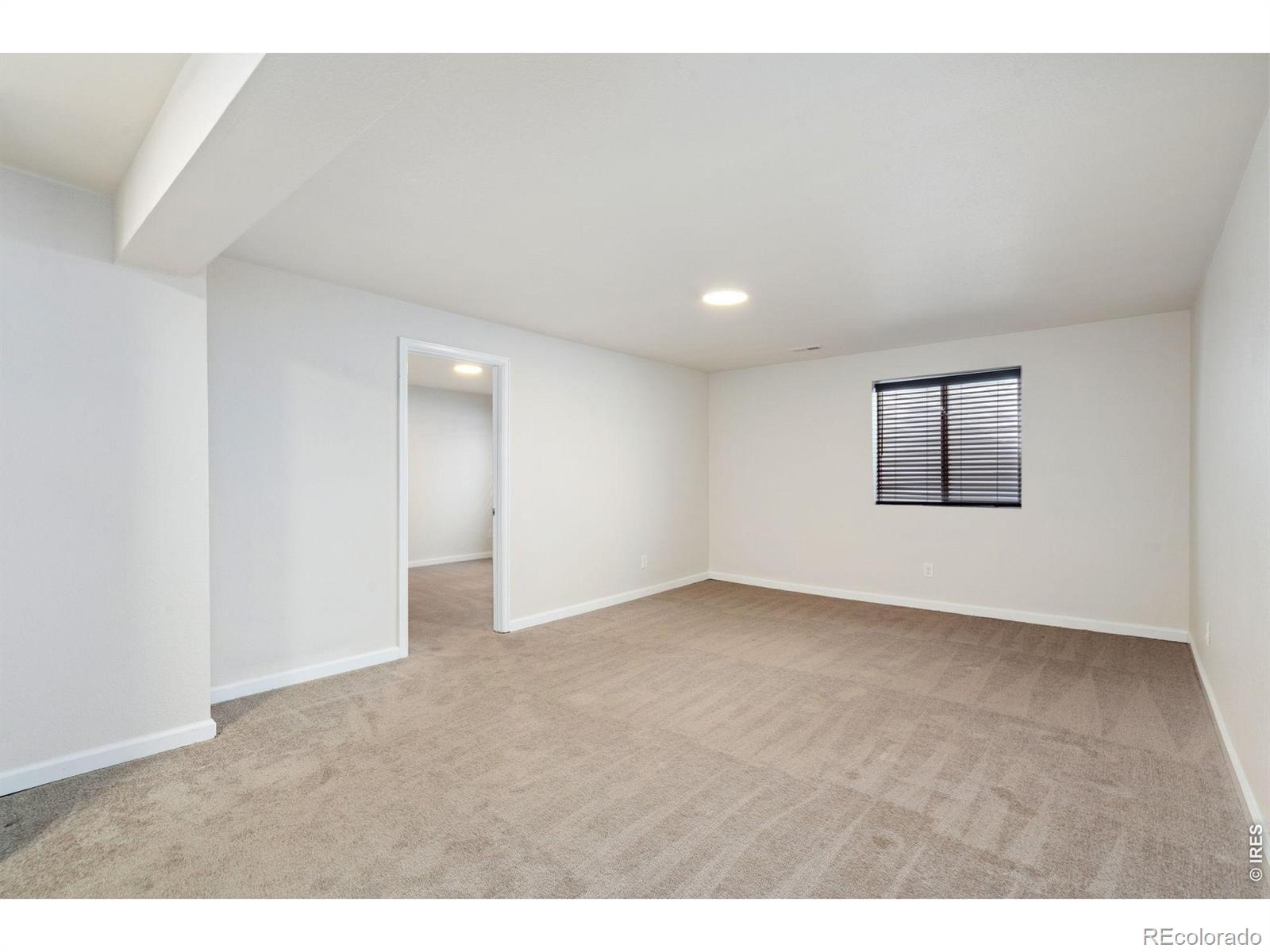 730 Breccia Avenue Loveland CO 80537