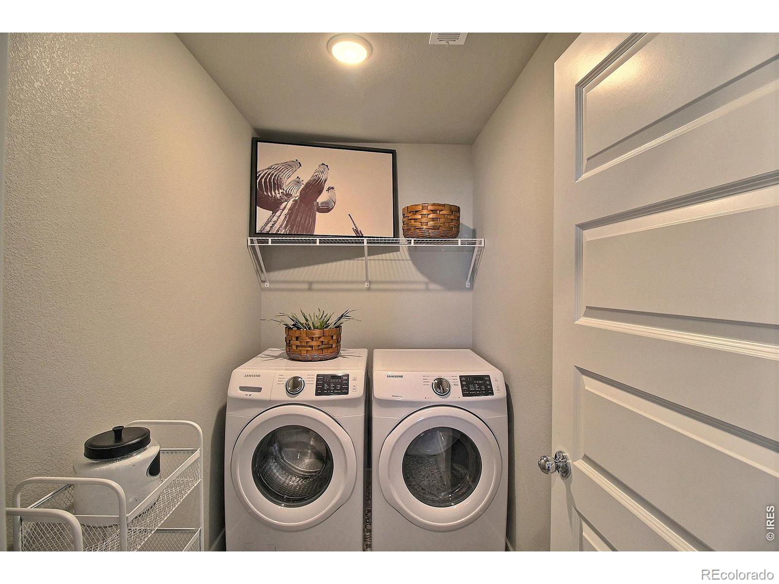 3813 Soapstone Street Evans CO 80620