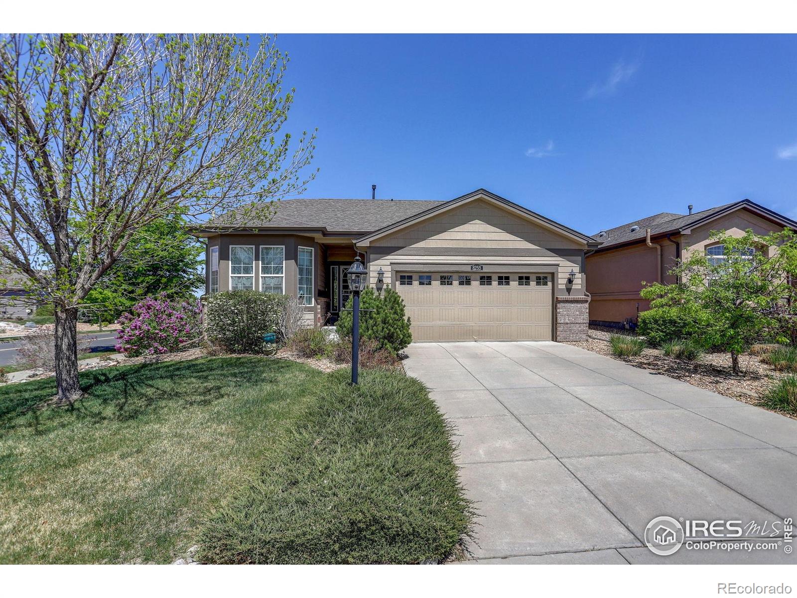8255 E 150th Place Thornton CO 80602