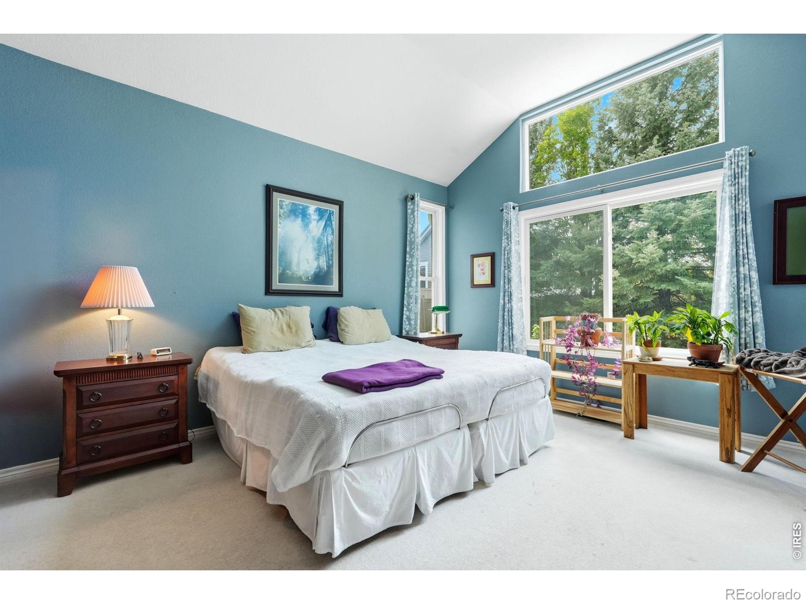 6921 Saint Thomas Drive Fort Collins CO 80525