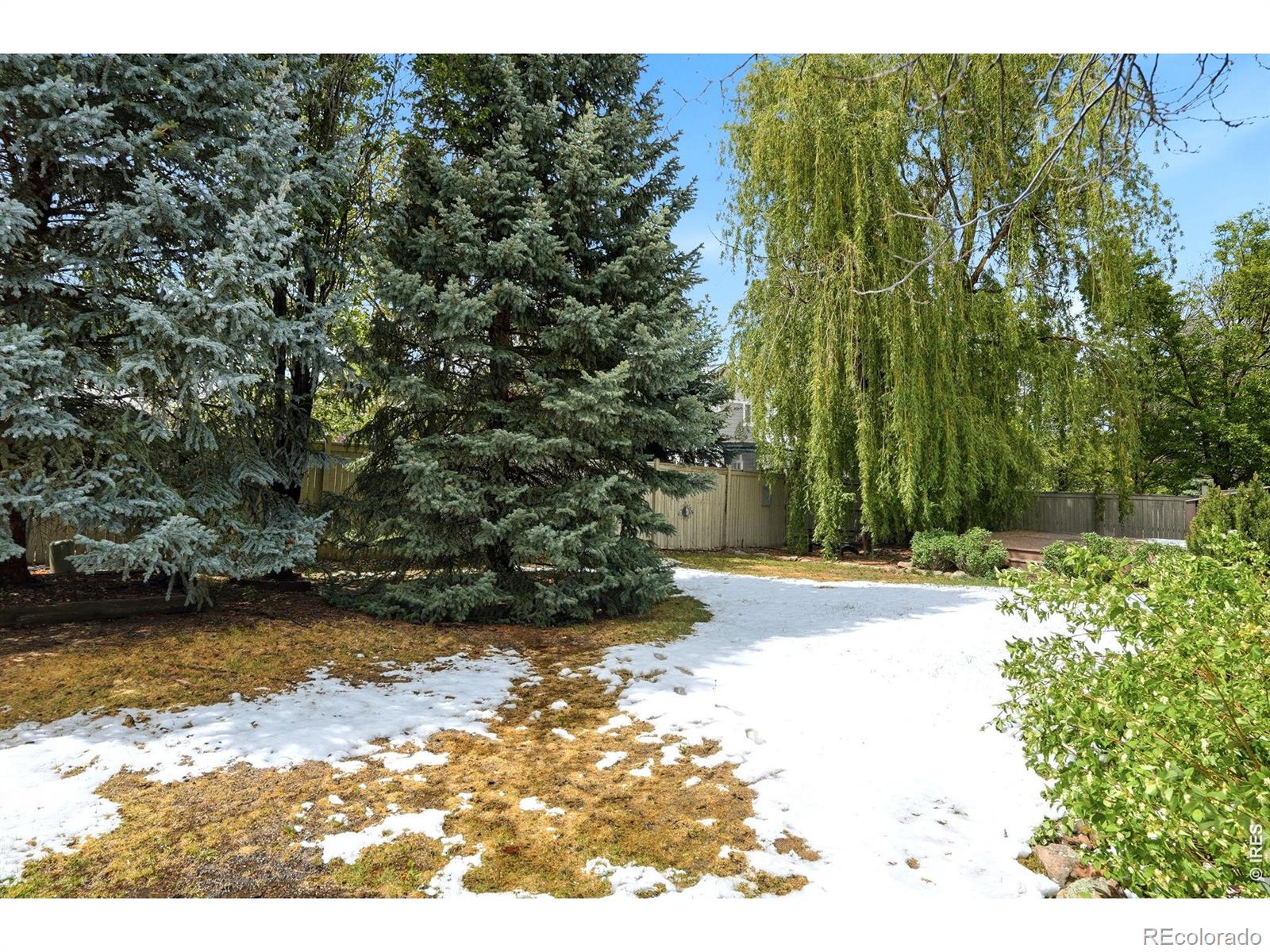 6921 Saint Thomas Drive Fort Collins CO 80525