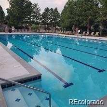 7123 Shoreham Drive Castle Pines CO 80108