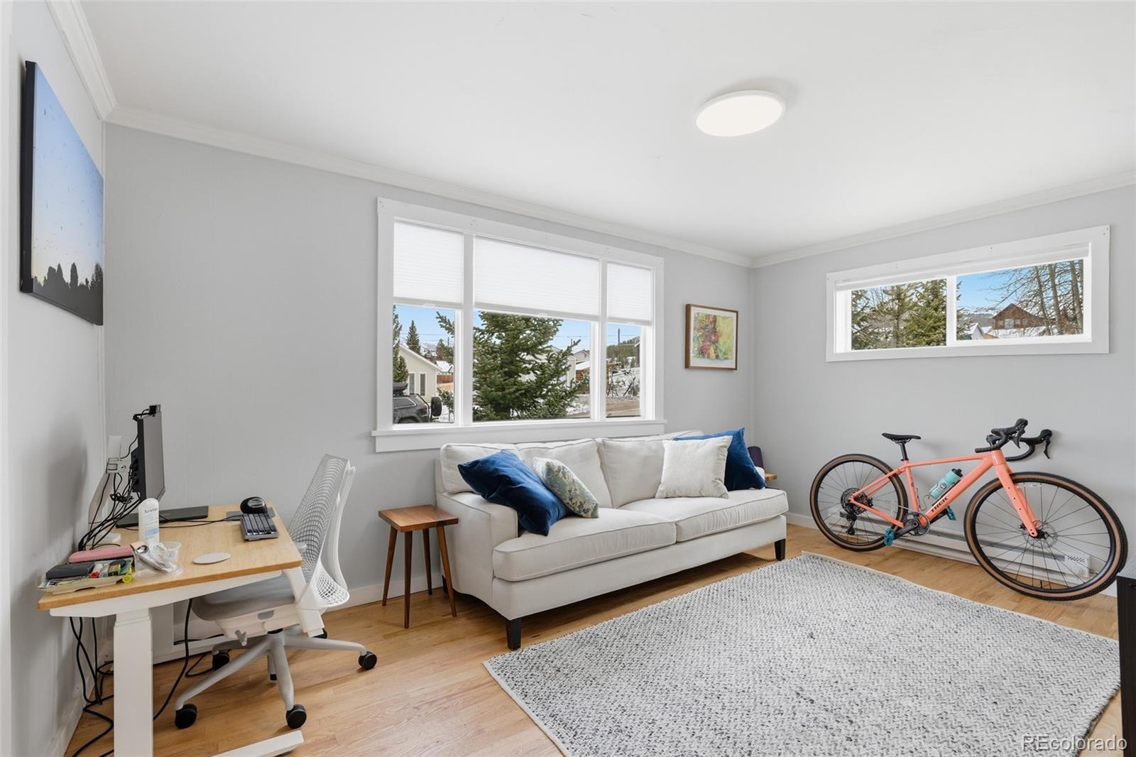 617 E 6th Street Leadville CO 80461