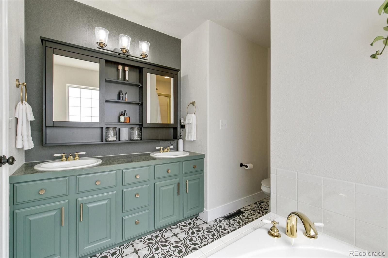 207 Lark Bunting Avenue Loveland CO 80537