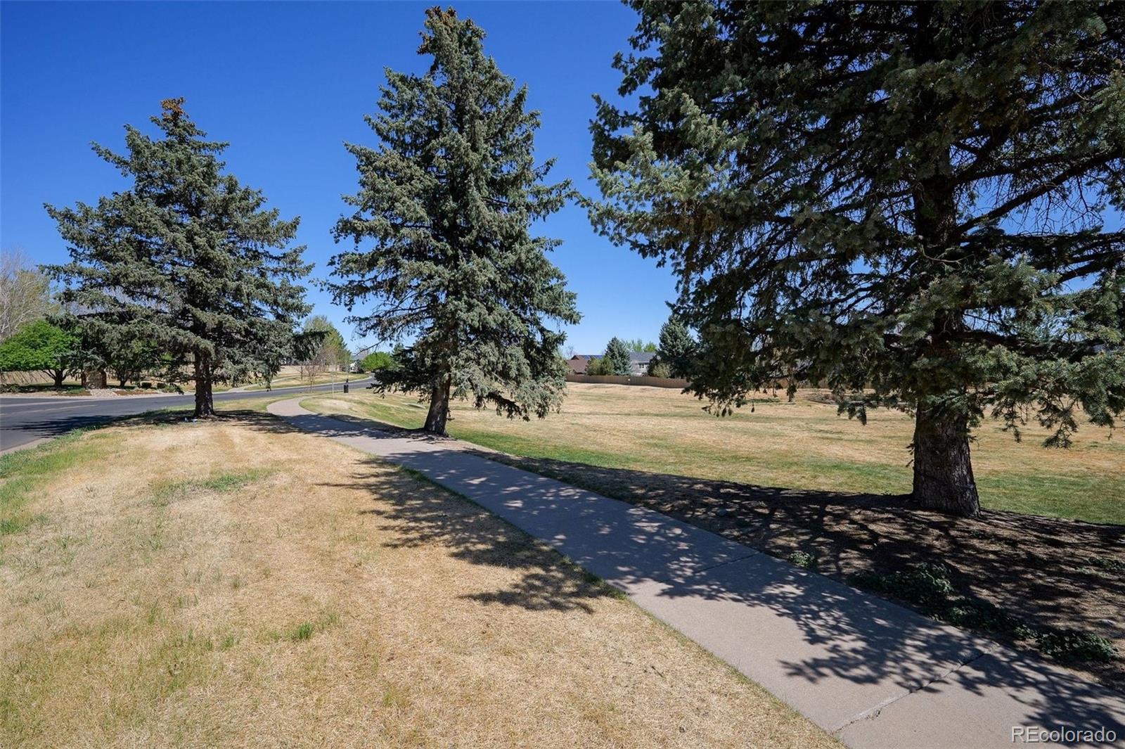 17045 Hastings Avenue Parker CO 80134