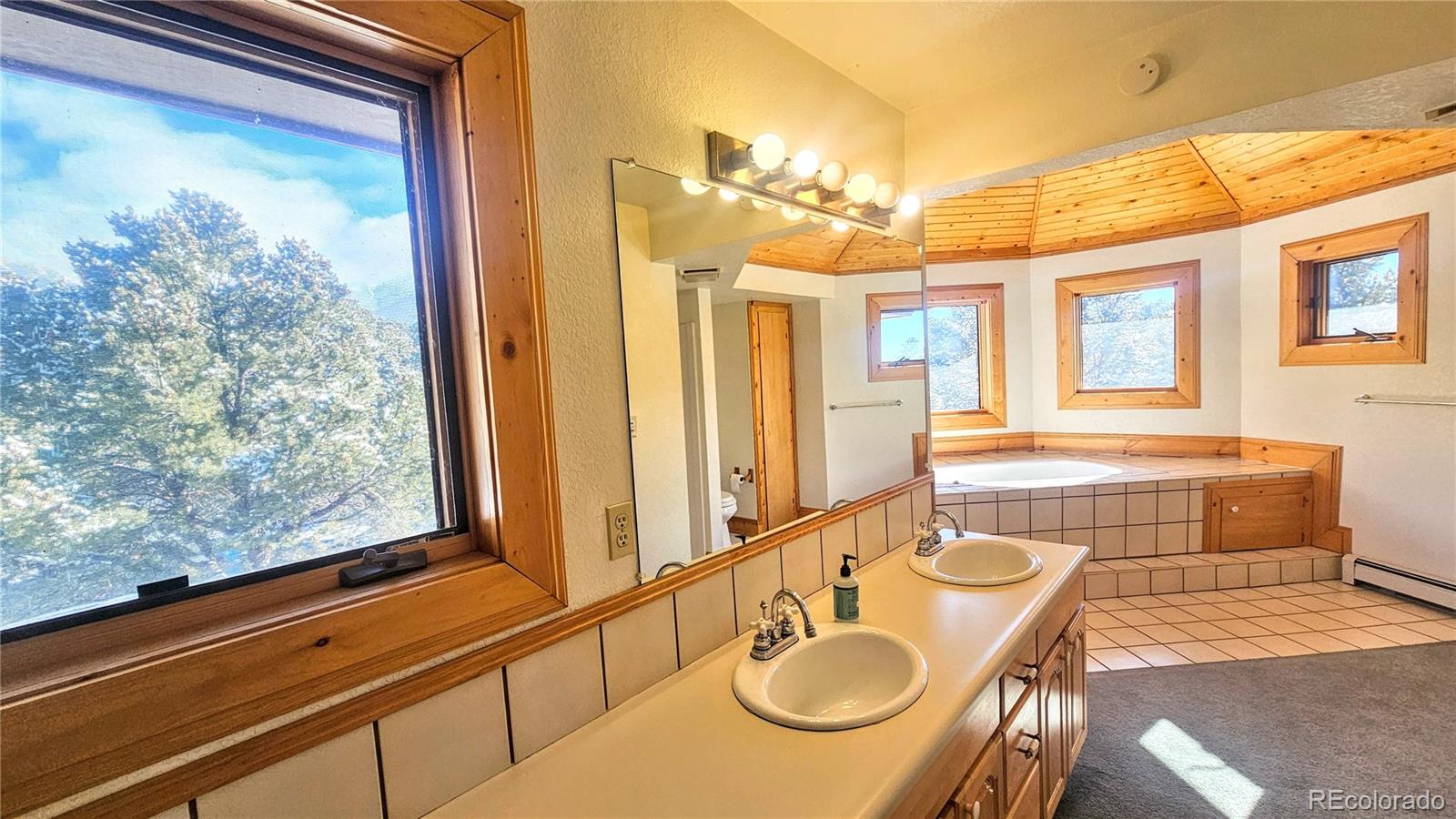 46 Camino Baca Grande Crestone CO 81131