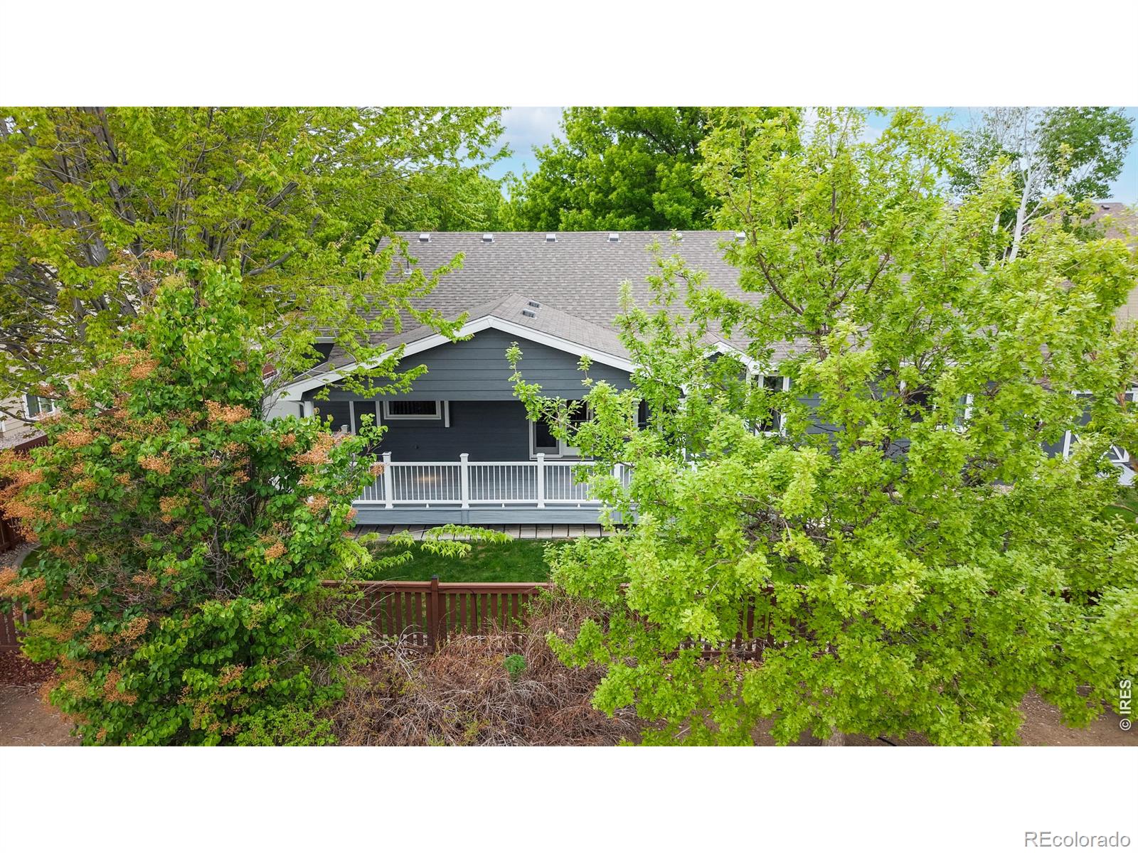 3688 Fillmore Avenue Loveland CO 80538