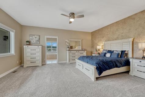 620 Forest View Way Monument CO 80132