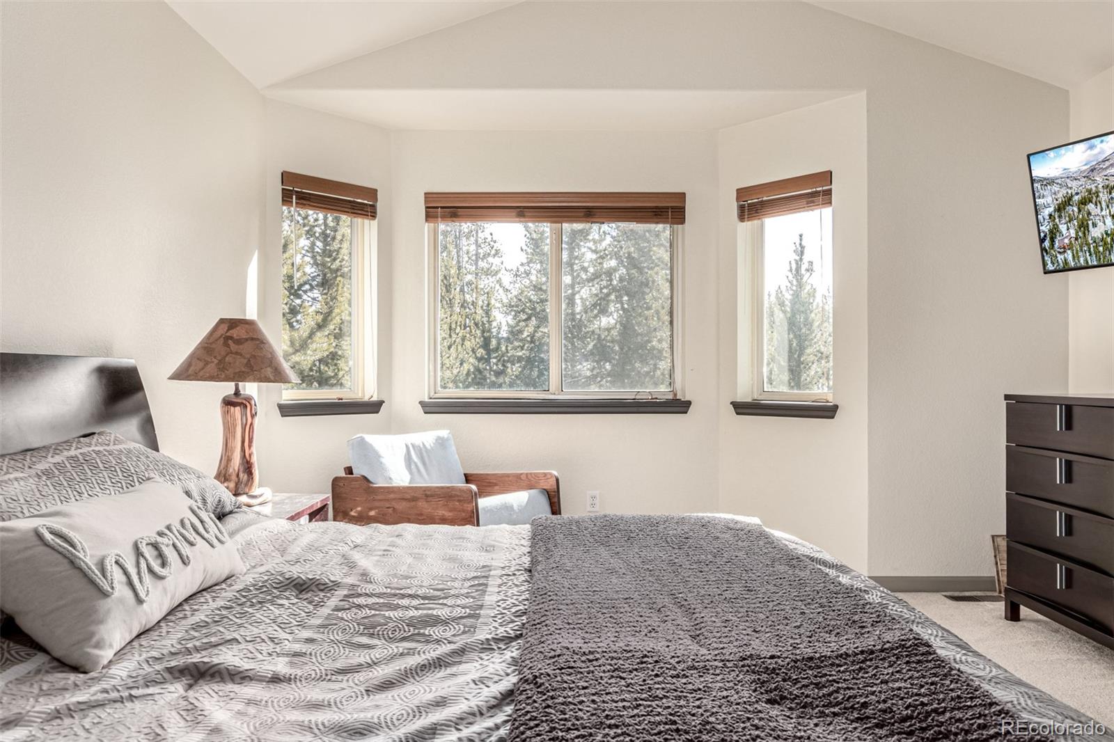 308 Red Hawk Circle Silverthorne CO 80498