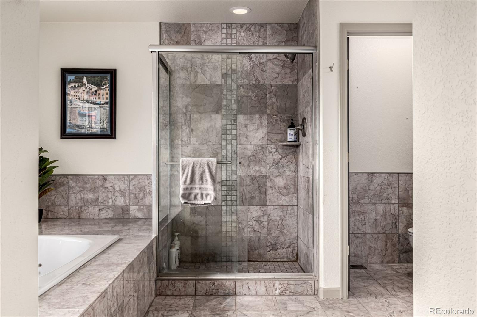 308 Red Hawk Circle Silverthorne CO 80498