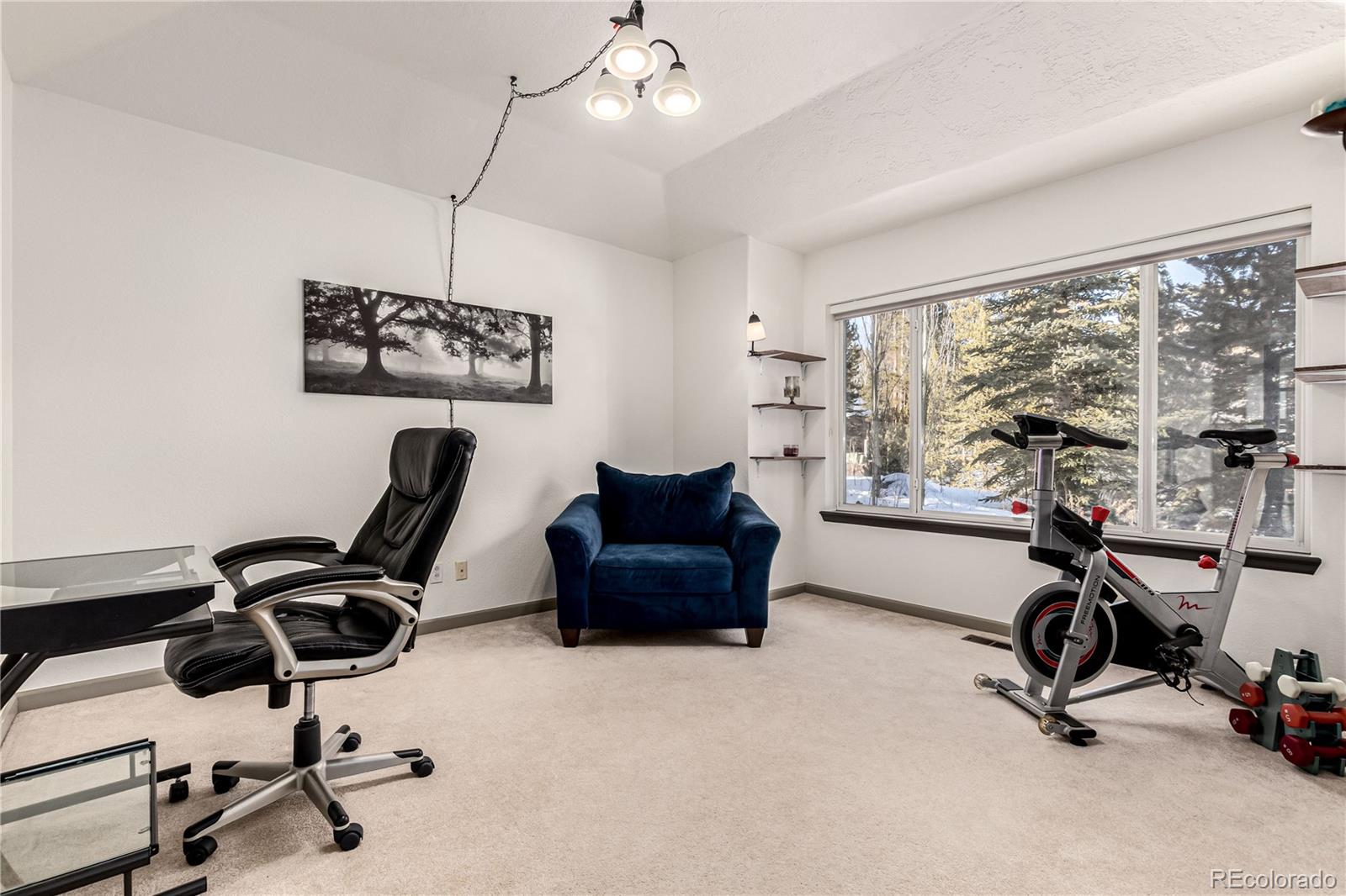 308 Red Hawk Circle Silverthorne CO 80498