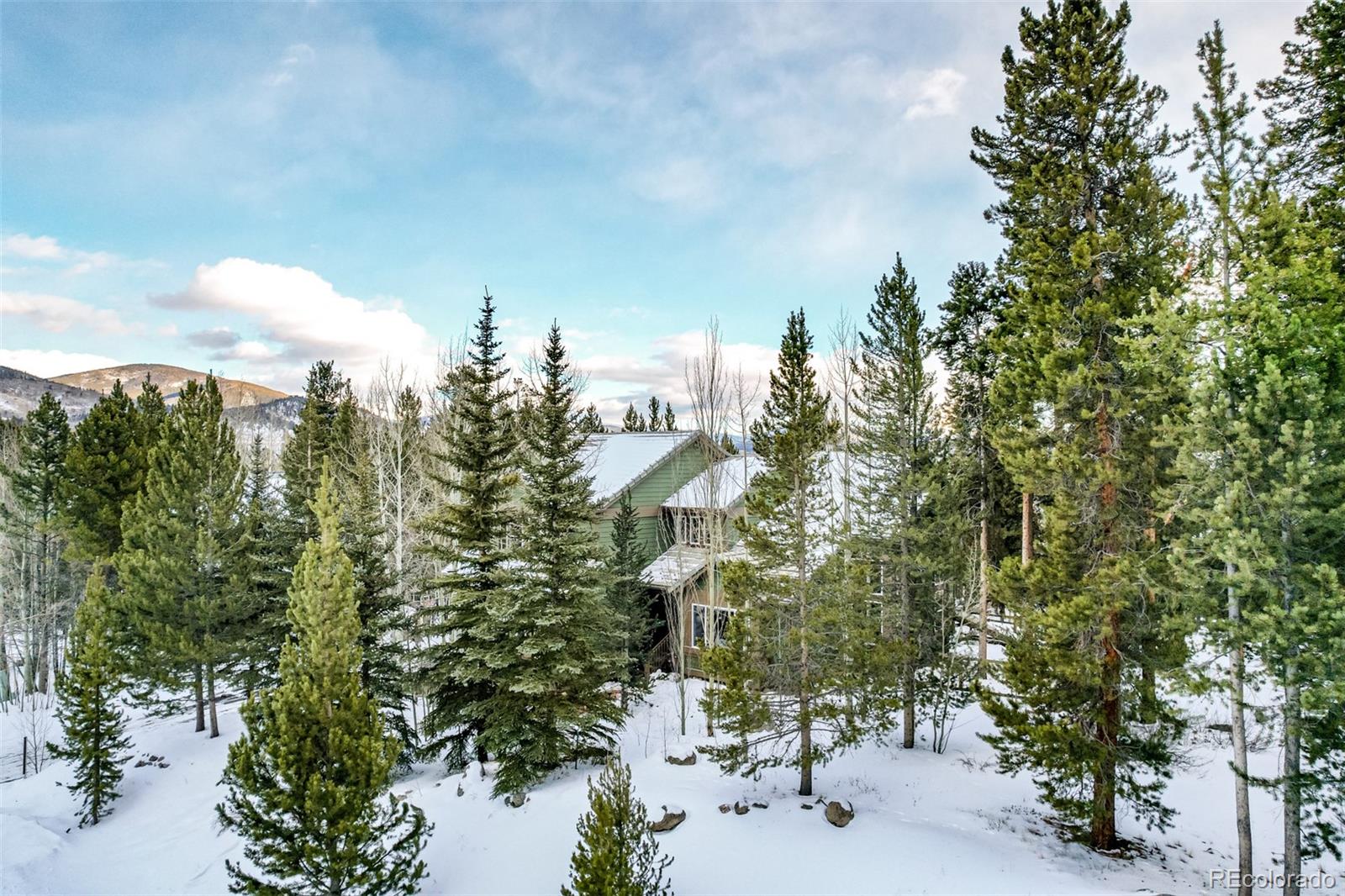 308 Red Hawk Circle Silverthorne CO 80498
