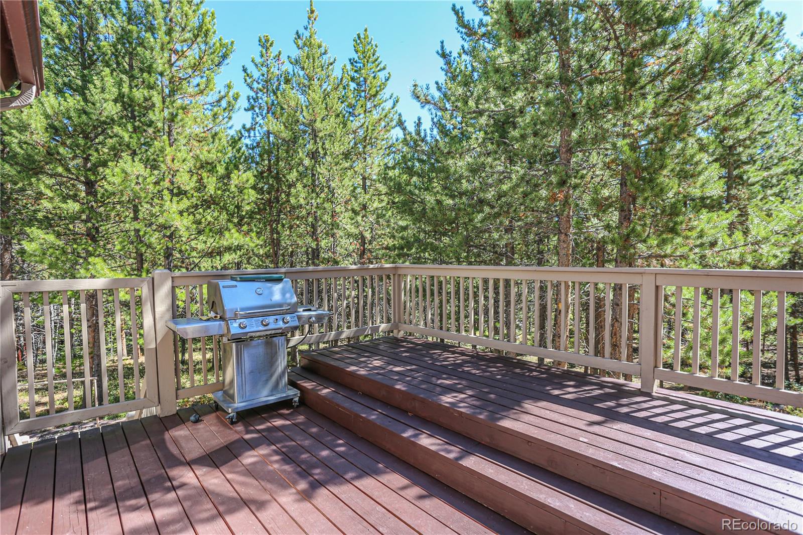 308 Red Hawk Circle Silverthorne CO 80498