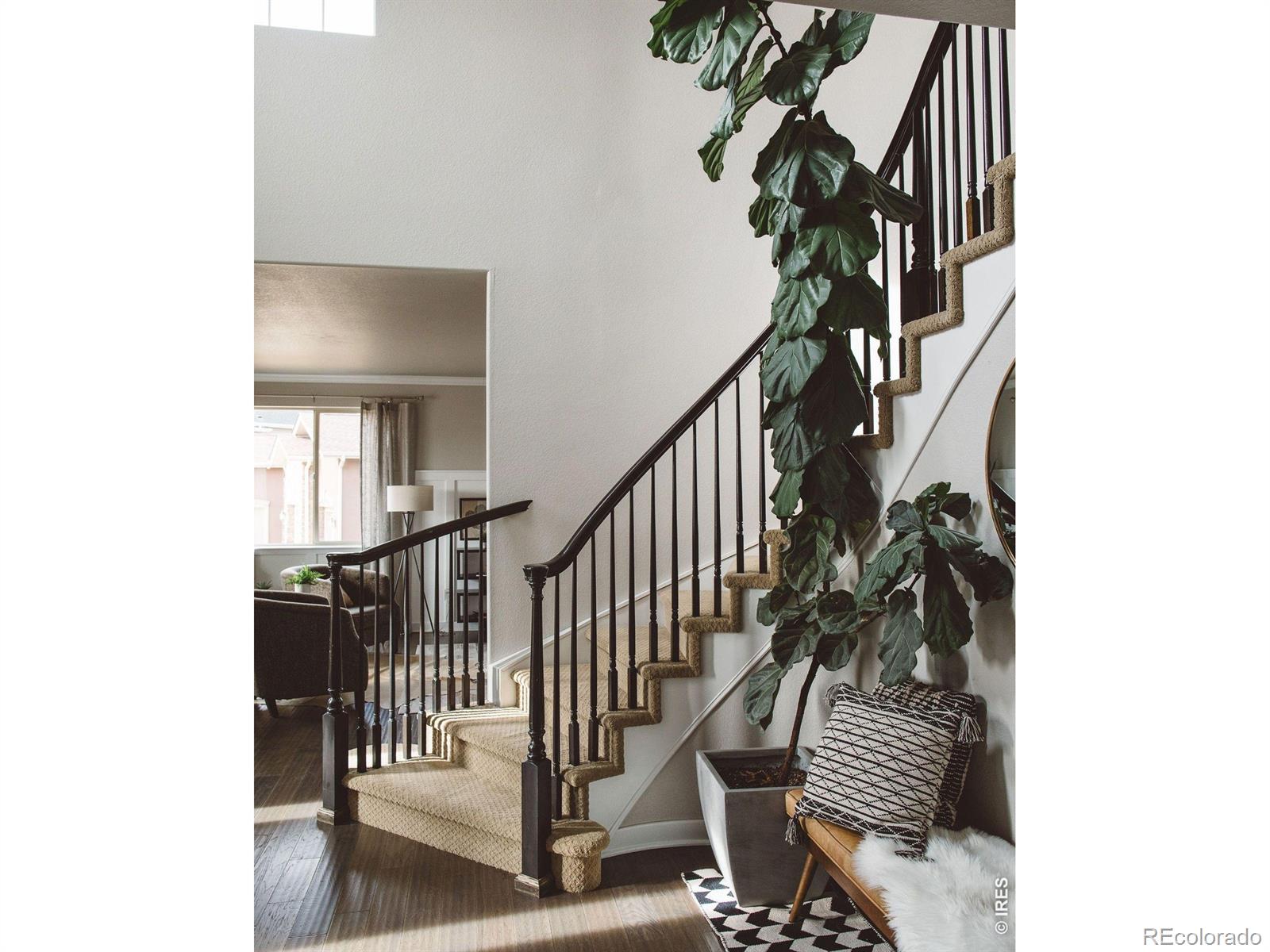 6203 Swainsons Hawk Place Fort Collins CO 80528