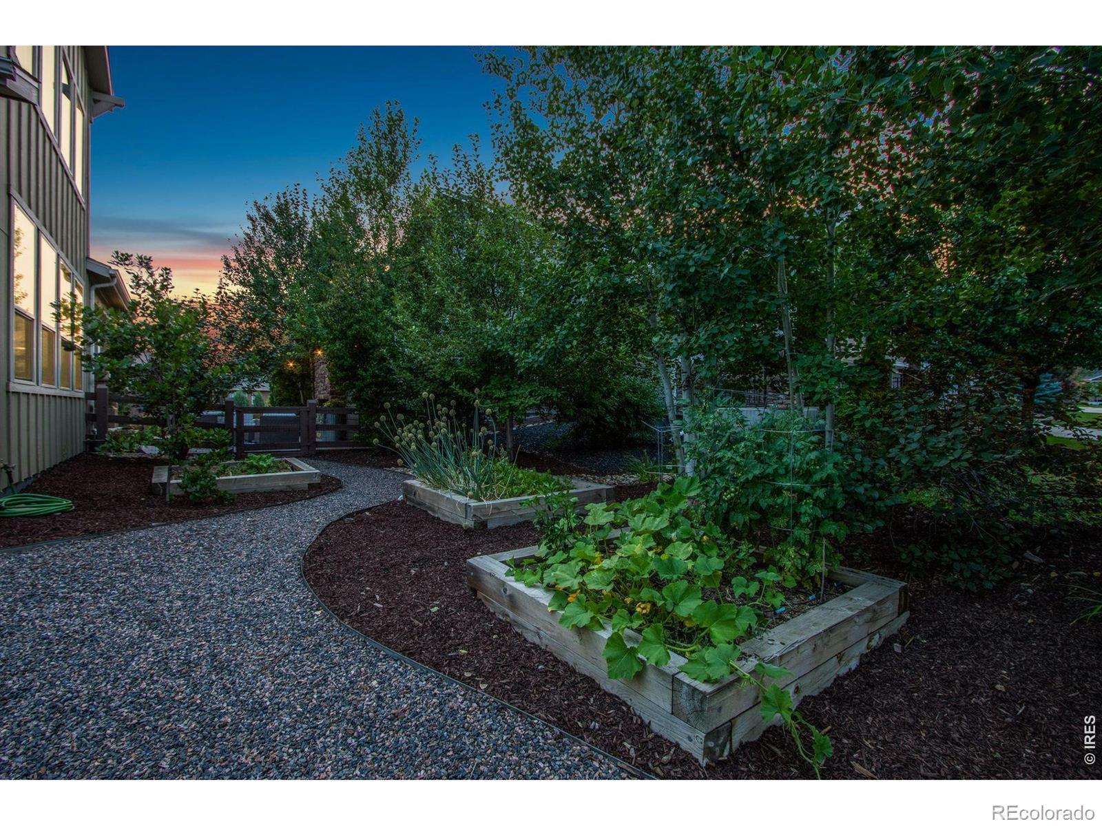6203 Swainsons Hawk Place Fort Collins CO 80528