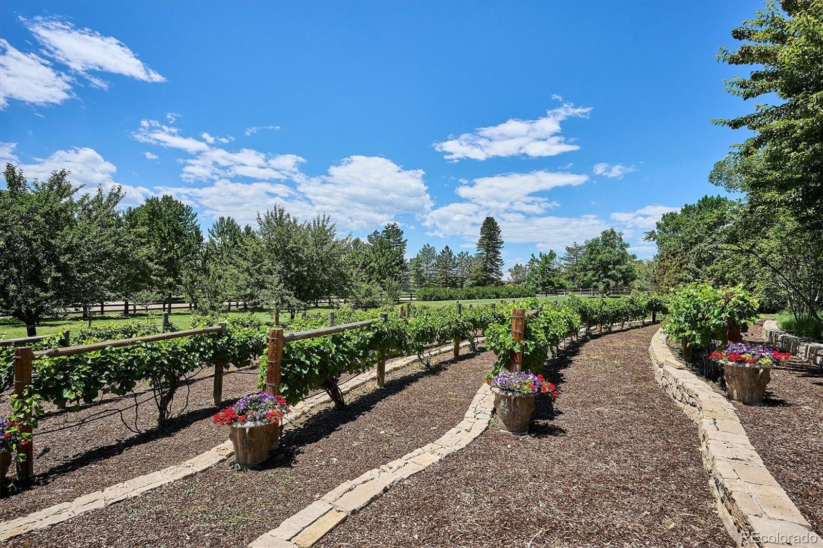 12 Lynn Road Cherry Hills Village CO 80113