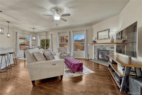 16017 Denver Pacific Drive Monument CO 80132