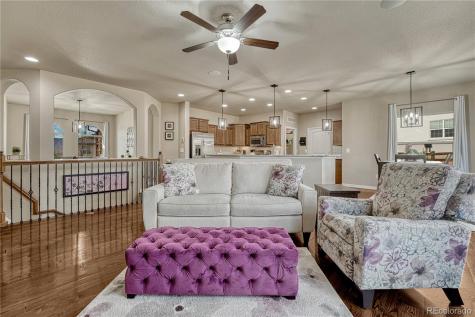 16017 Denver Pacific Drive Monument CO 80132