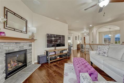 16017 Denver Pacific Drive Monument CO 80132