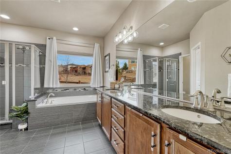 16017 Denver Pacific Drive Monument CO 80132