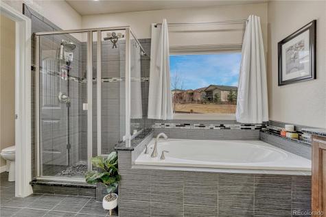 16017 Denver Pacific Drive Monument CO 80132