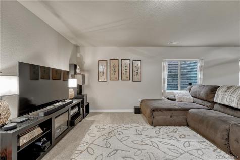 16017 Denver Pacific Drive Monument CO 80132