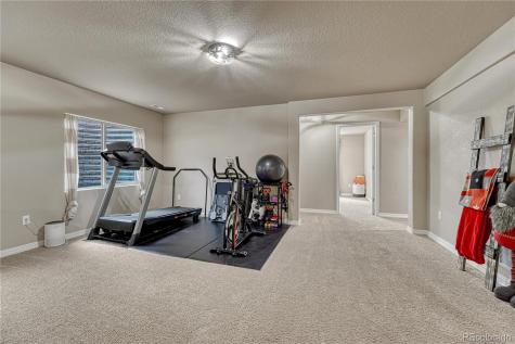 16017 Denver Pacific Drive Monument CO 80132