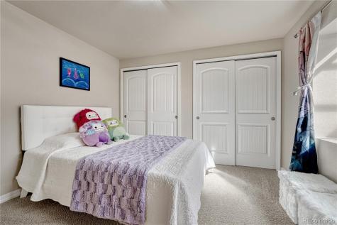 16017 Denver Pacific Drive Monument CO 80132