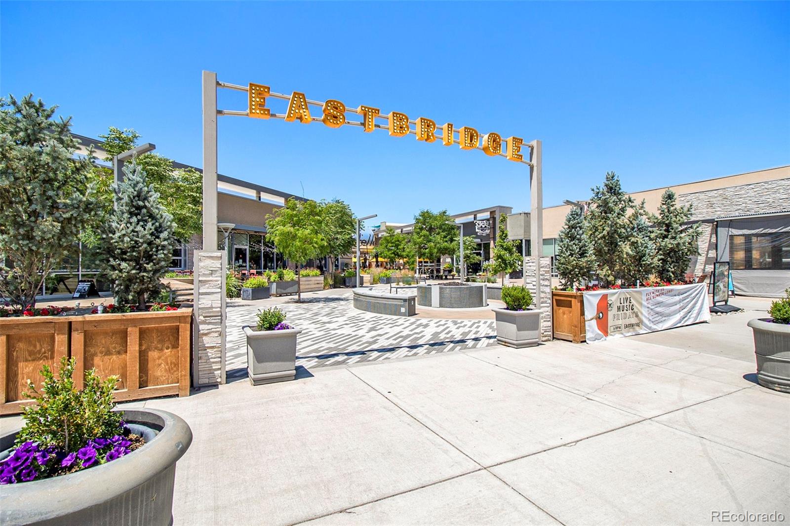 3241 Fulton Street Denver CO 80238