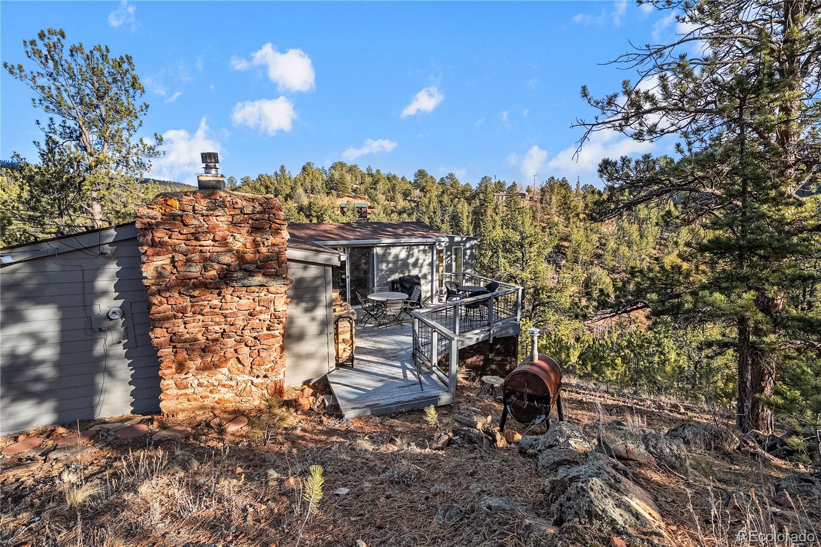 106 Elk Drive Bailey CO 80421