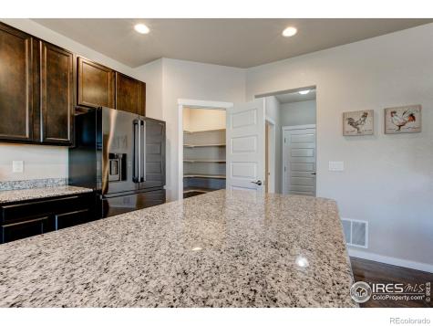 2137 Honeybee Drive Windsor CO 80550