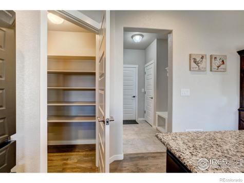 2137 Honeybee Drive Windsor CO 80550