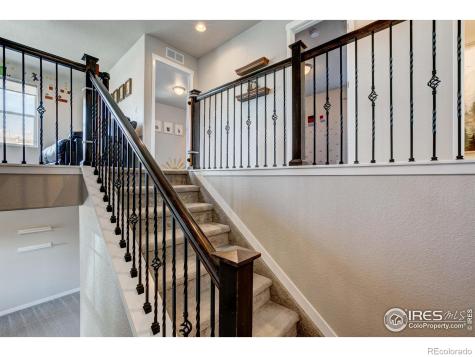 2137 Honeybee Drive Windsor CO 80550