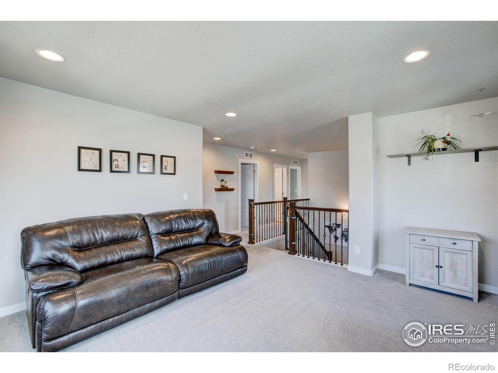 2137 Honeybee Drive Windsor CO 80550