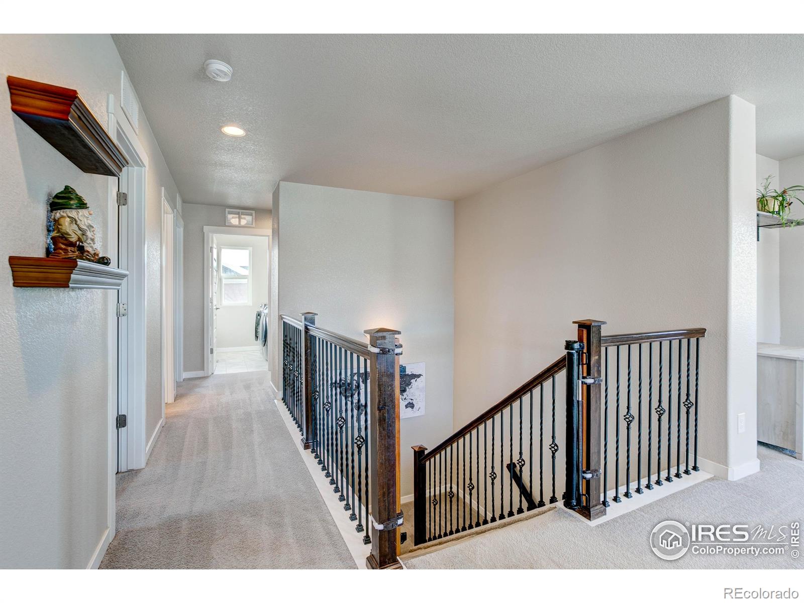 2137 Honeybee Drive Windsor CO 80550