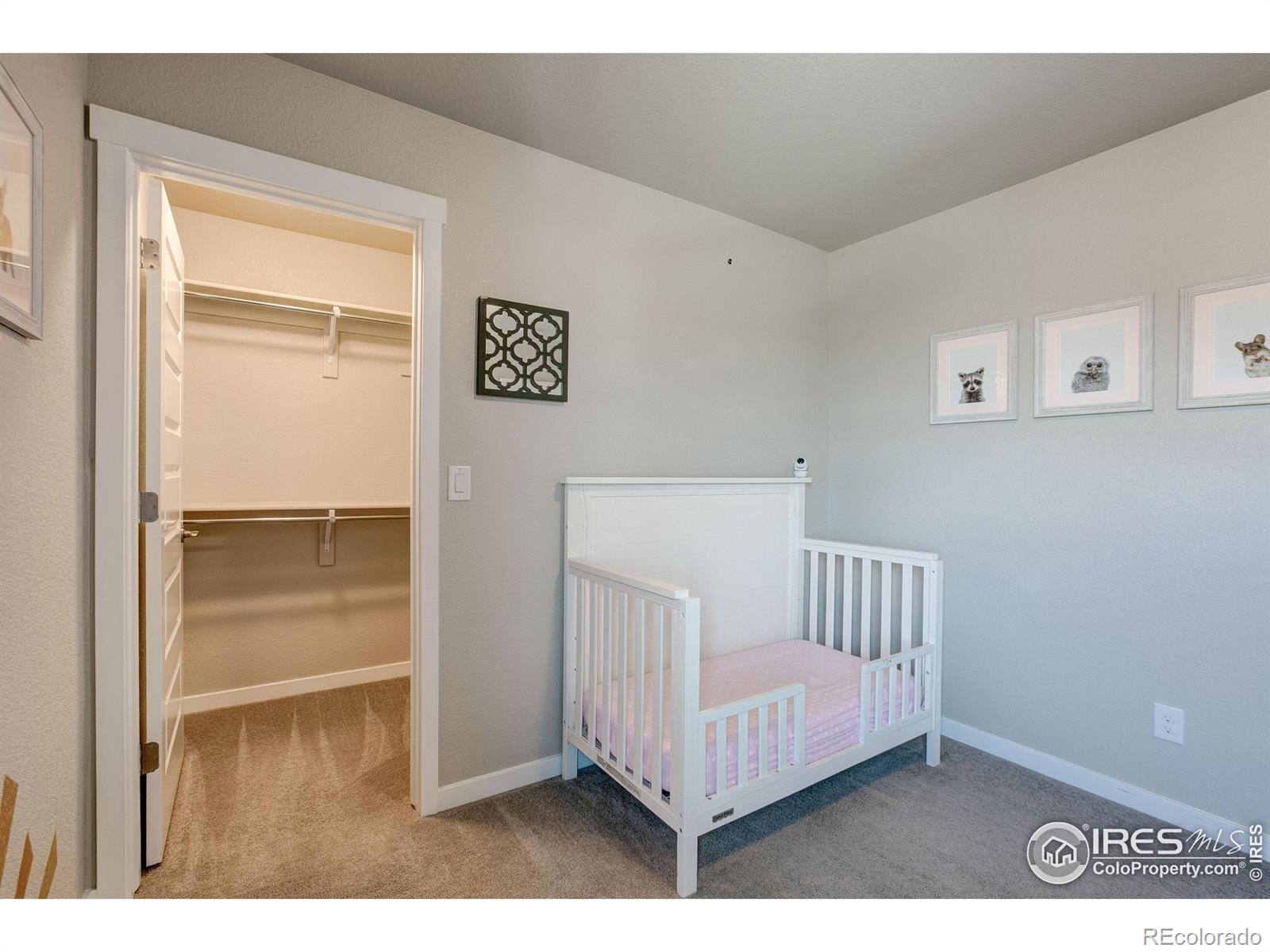2137 Honeybee Drive Windsor CO 80550
