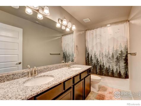 2137 Honeybee Drive Windsor CO 80550