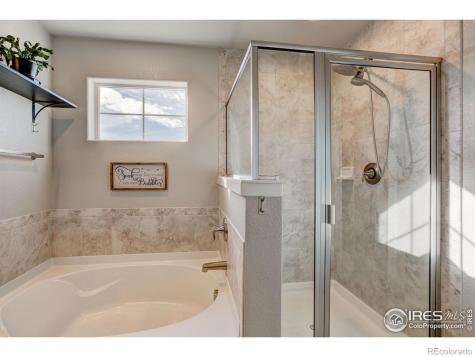 2137 Honeybee Drive Windsor CO 80550