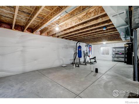 2137 Honeybee Drive Windsor CO 80550
