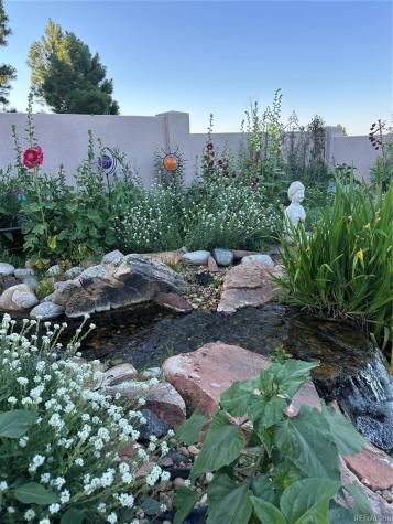 6698 Condor Run Littleton CO 80125