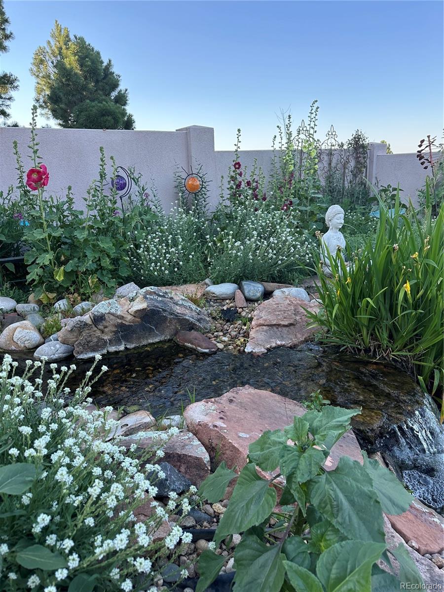 6698 Condor Run Littleton CO 80125