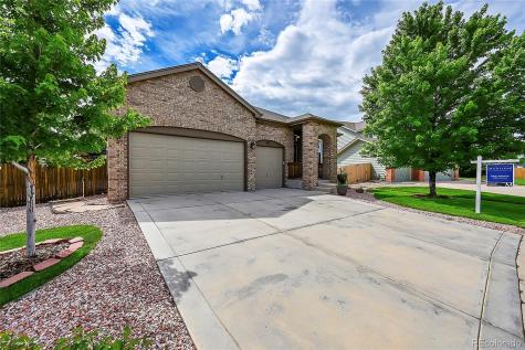 4180 Black Feather Trail Castle Rock CO 80104