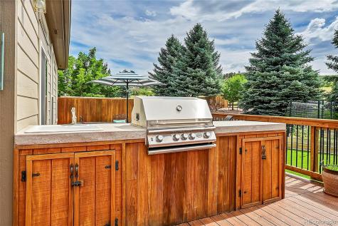 4180 Black Feather Trail Castle Rock CO 80104