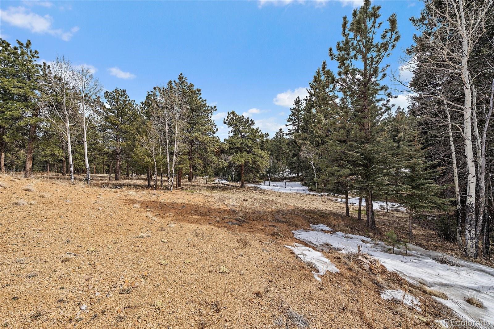 280 Double Tree Bailey CO 80421