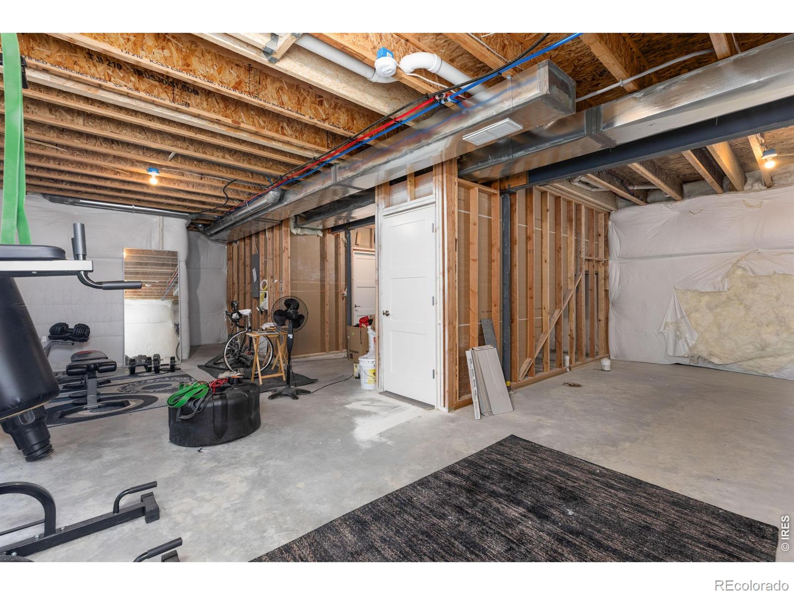5687 Cottontail Drive Longmont CO 80503