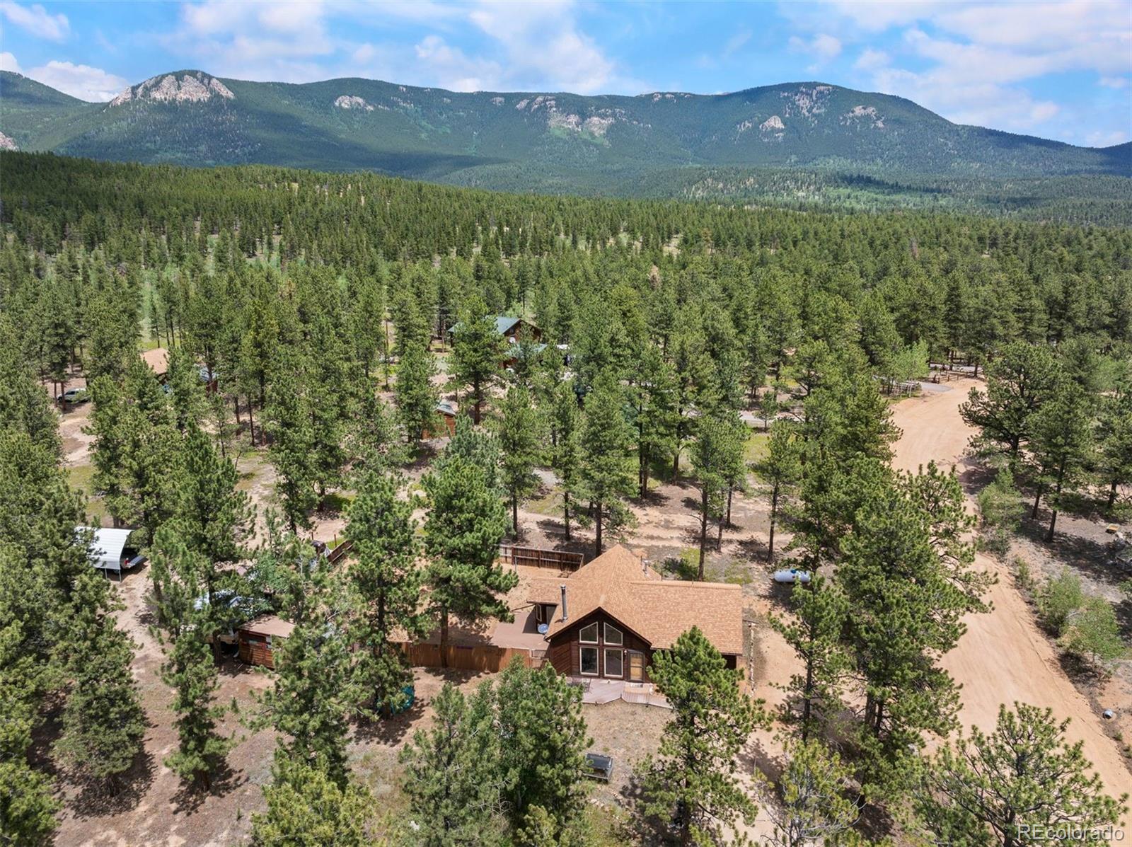 21 Crystal Rock Road Bailey CO 80421