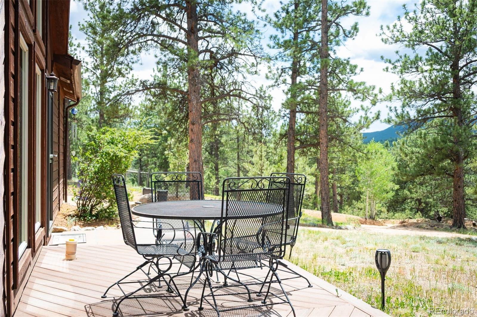 21 Crystal Rock Road Bailey CO 80421