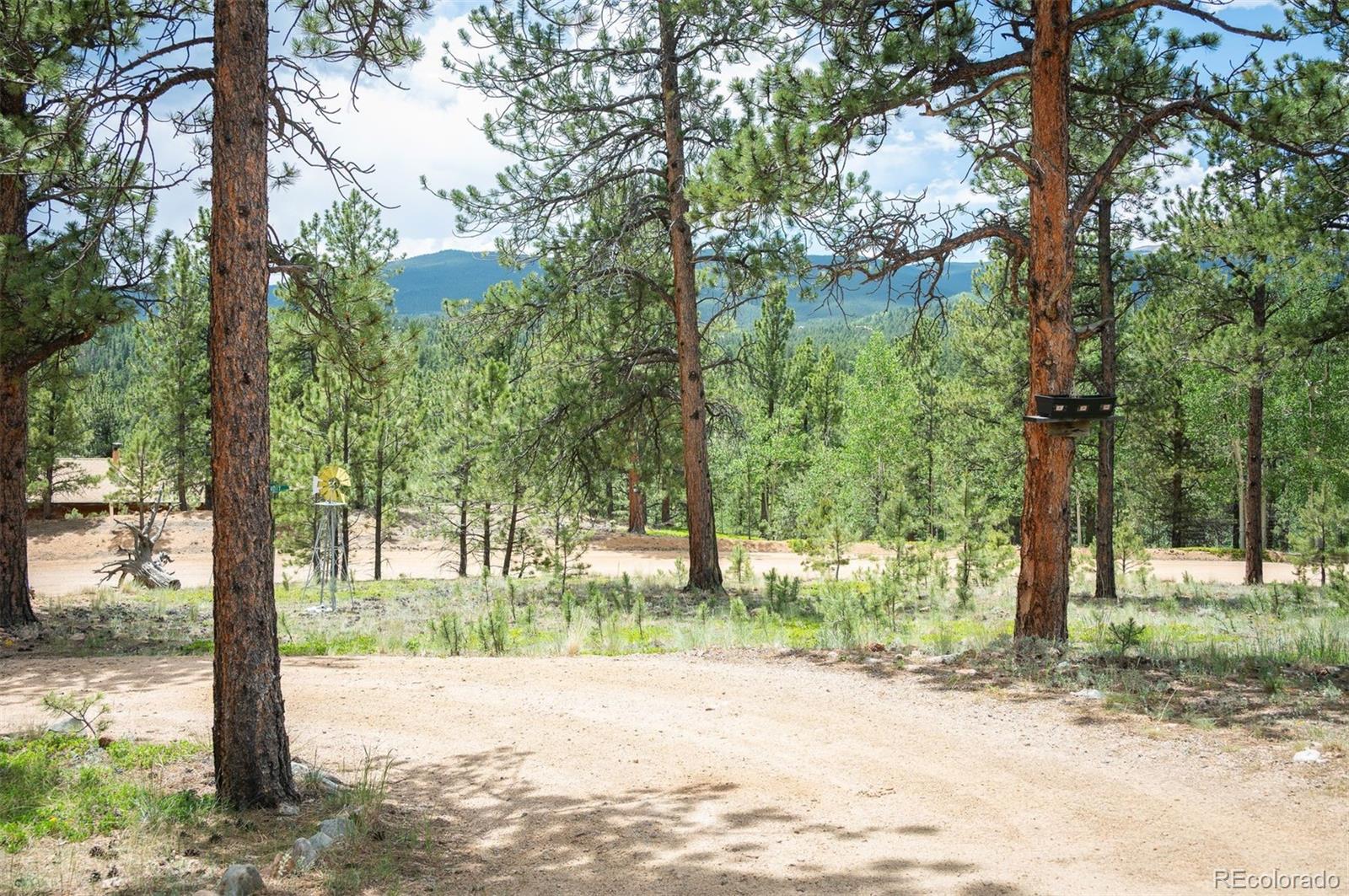 21 Crystal Rock Road Bailey CO 80421