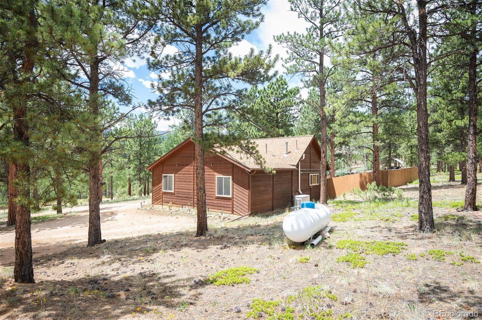 21 Crystal Rock Road Bailey CO 80421